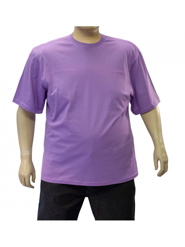 Camiseta Básica Plus Size Alfazema